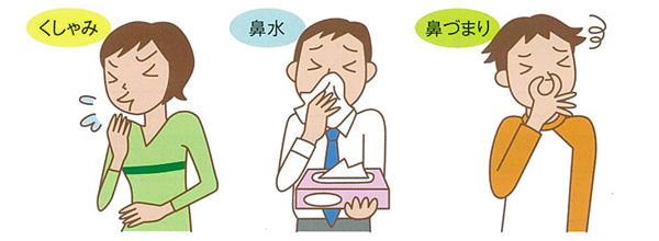くしゃみ・鼻水・鼻づまり